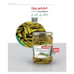 خیار شور شهلان